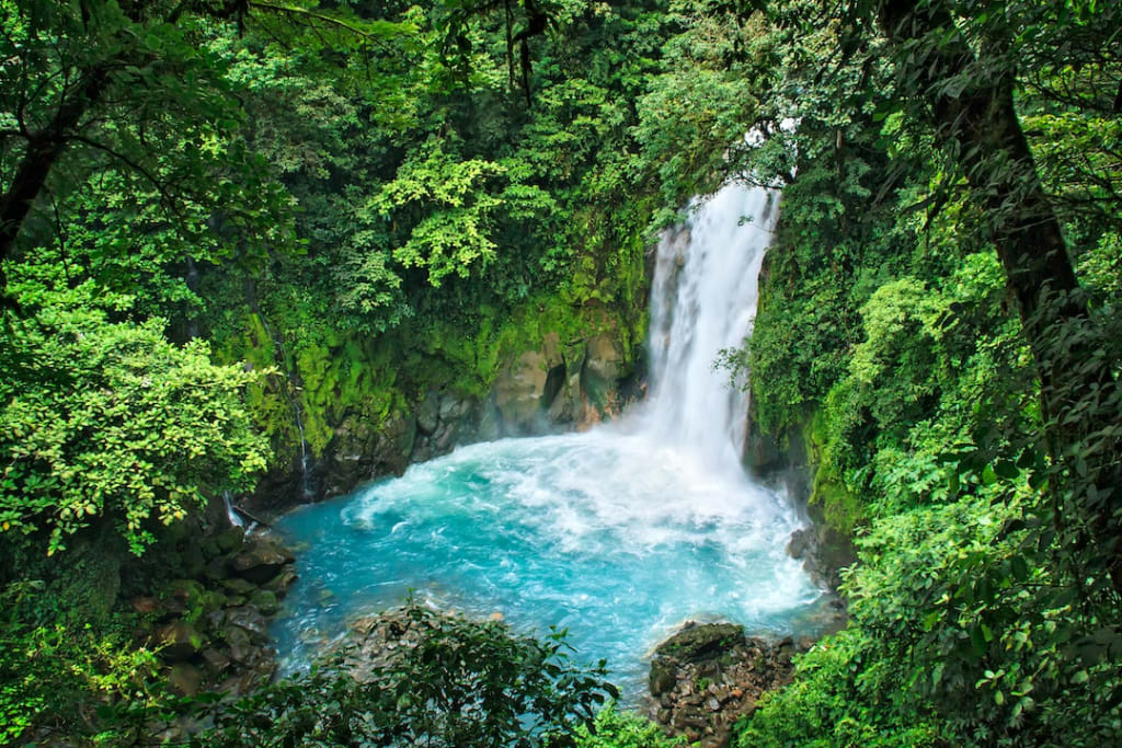 Costa Rica's Eco-Tourism Efforts